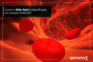 ilustração de sangue circulando e texto: Sabe como o DNA fetal é identificado no sangue materno?