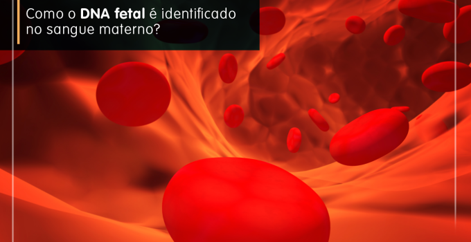 ilustração de sangue circulando e texto: Sabe como o DNA fetal é identificado no sangue materno?