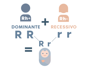 fator rh pai postivo e mãe negativo